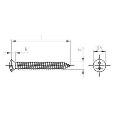 Raised countersunk head security screw with two hole drive